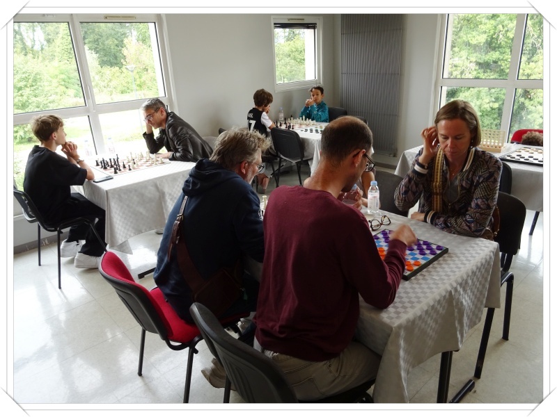 damier club du leman - dcl